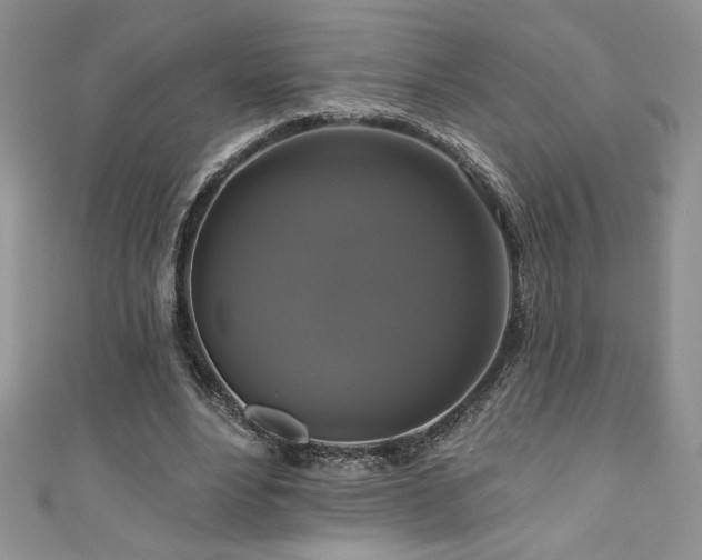 X0000111200488200907011436