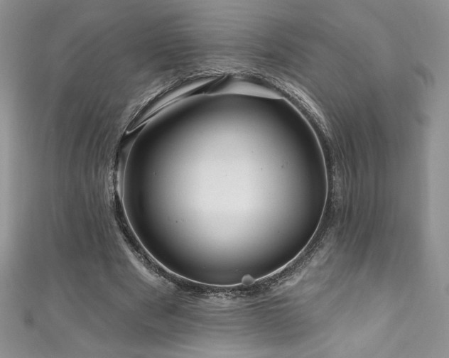 X0000111200489200907011436