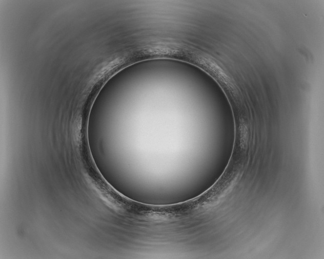 X0000111200490200907011436