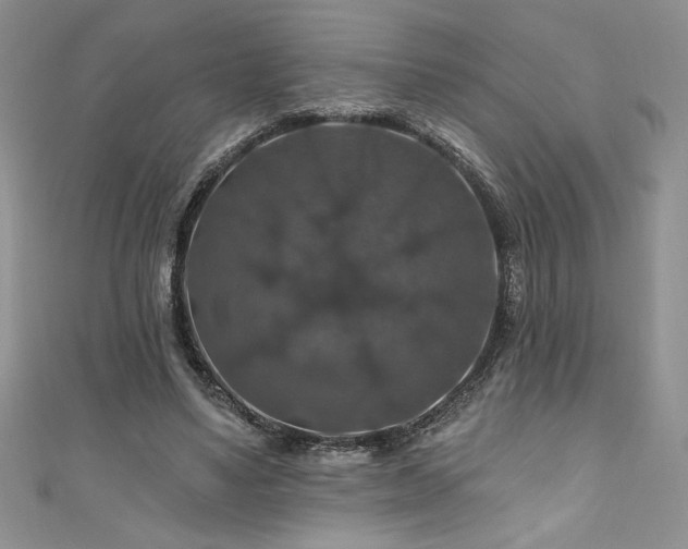 X0000111200491200907011436