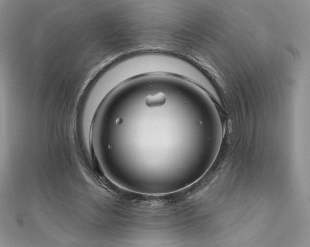 X0000111200492200907011436