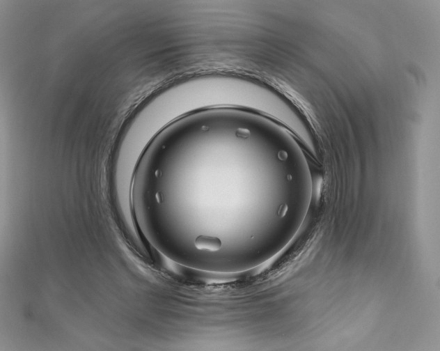 X0000111200493200907011436