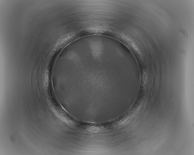 X0000111200494200907011436