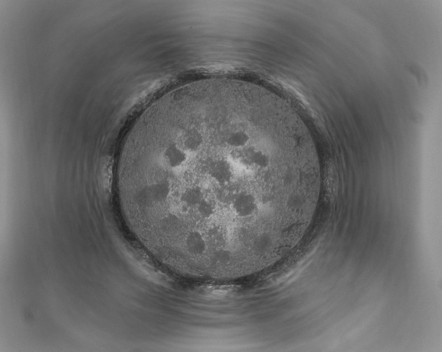 X0000111200495200907011436