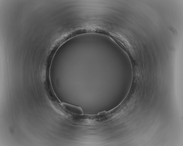 X0000111200496200907011436