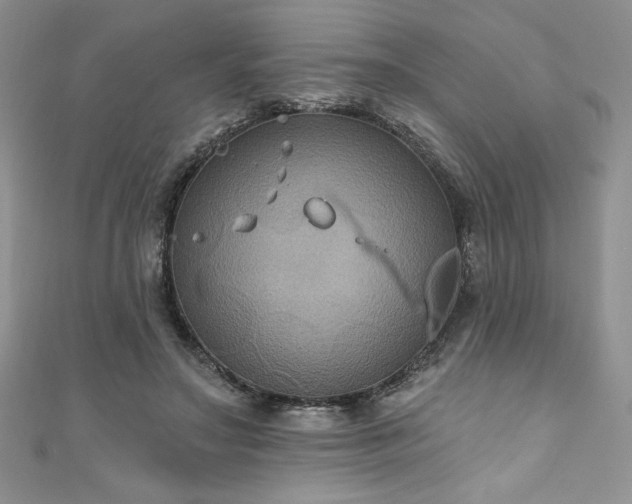 X0000111200499200907011436