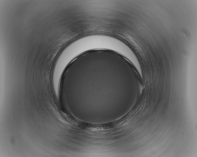 X0000111200500200907011436