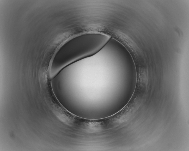 X0000111200501200907011436