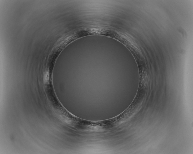 X0000111200502200907011436