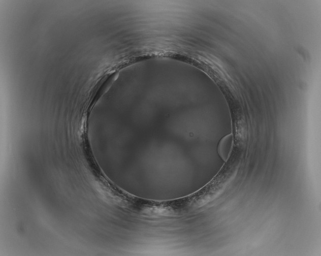 X0000111200503200907011436