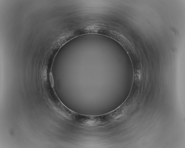 X0000111200504200907011436