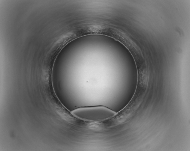 X0000111200505200907011436