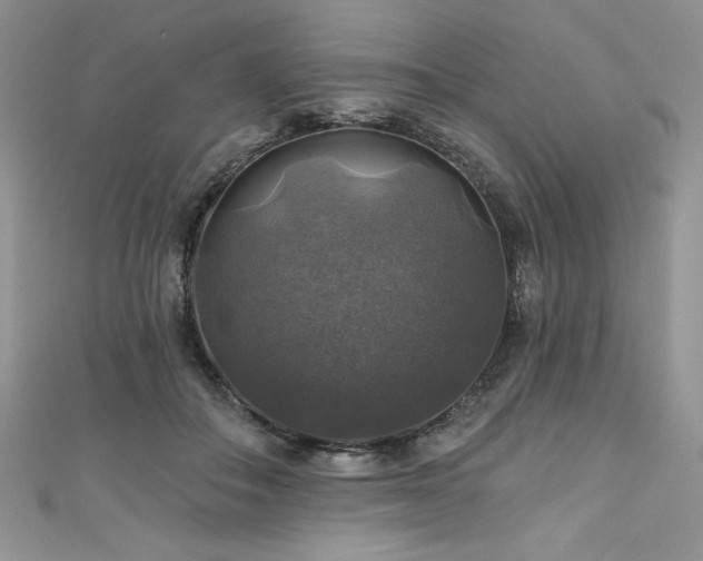 X0000111200506200907011436