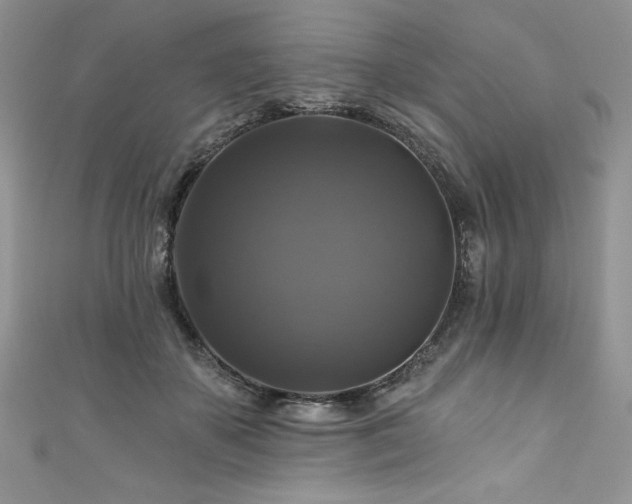 X0000111200507200907011436