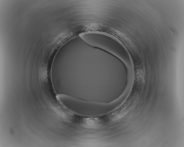 X0000111200508200907011436