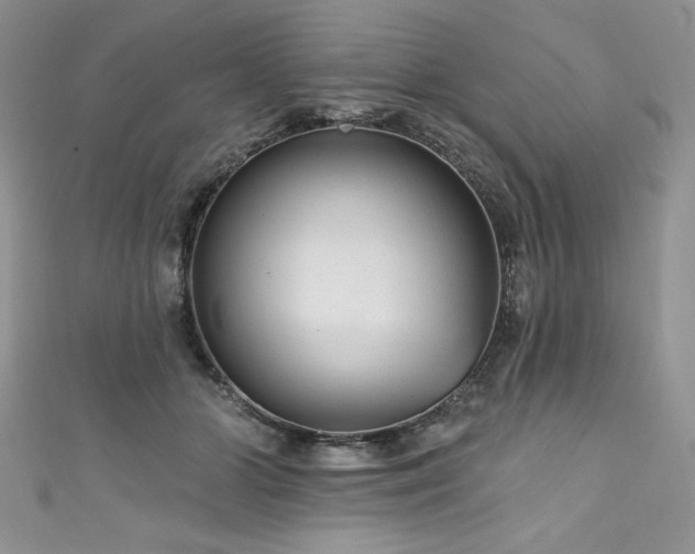 X0000111200510200907011436