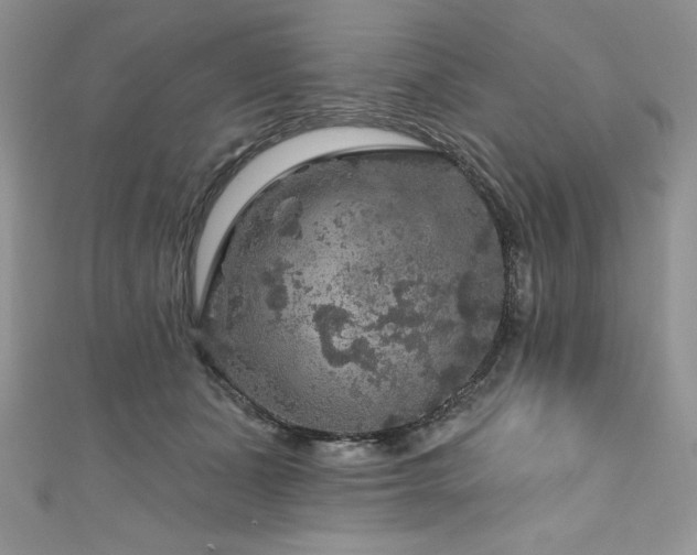 X0000111200511200907011436