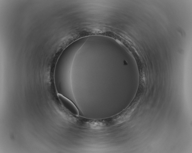 X0000111200512200907011436