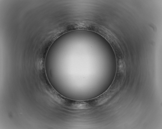 X0000111200514200907011436