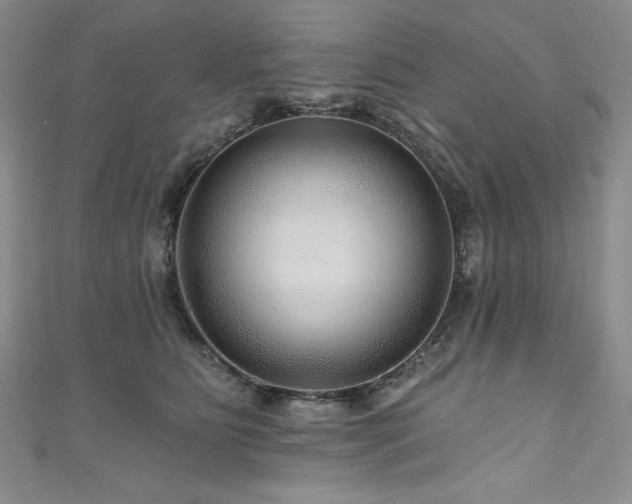 X0000111200515200907011436