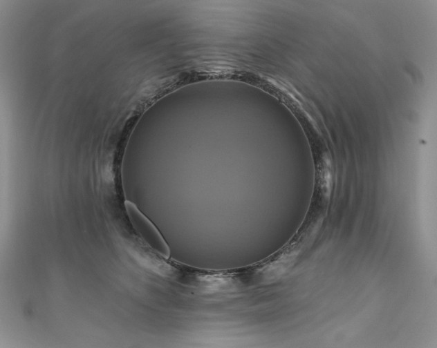 X0000111200516200907011436