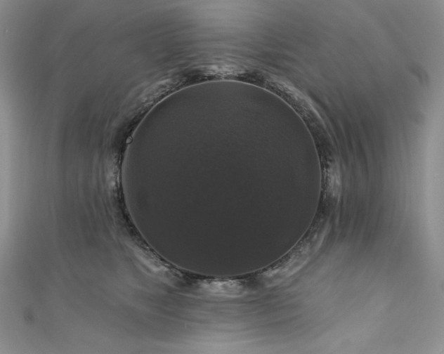 X0000111200517200907011436