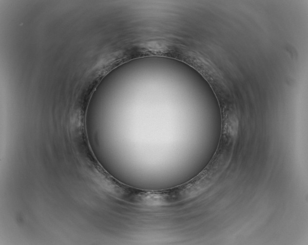 X0000111200518200907011436