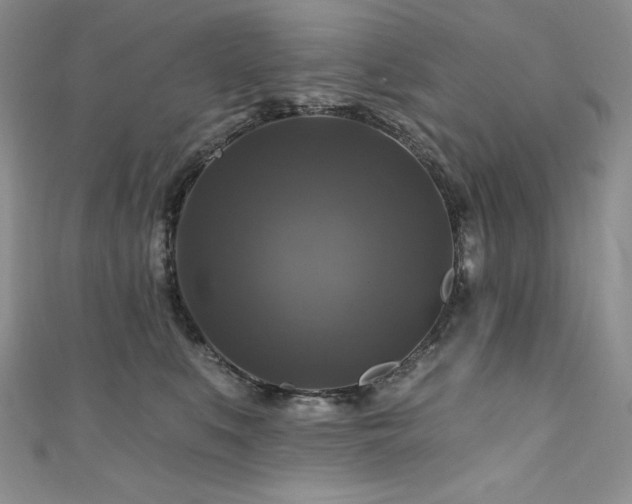 X0000111200519200907011436