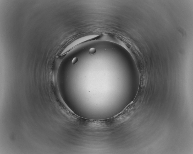 X0000111200521200907011436