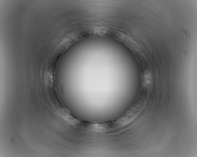 X0000111200522200907011436