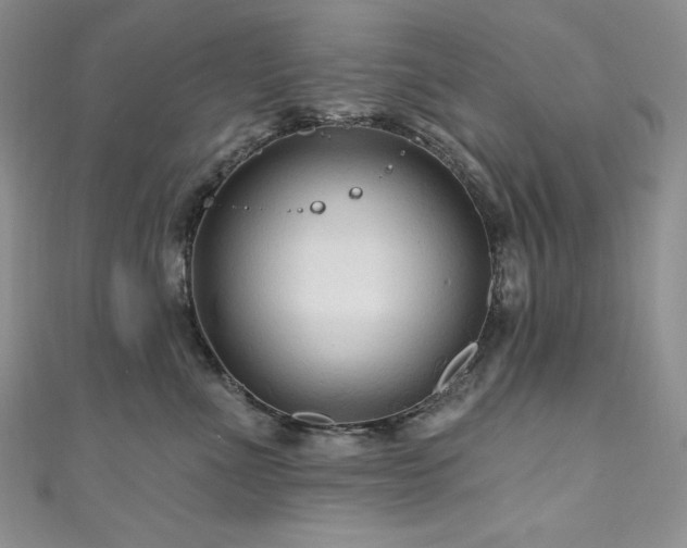 X0000111200523200907011436