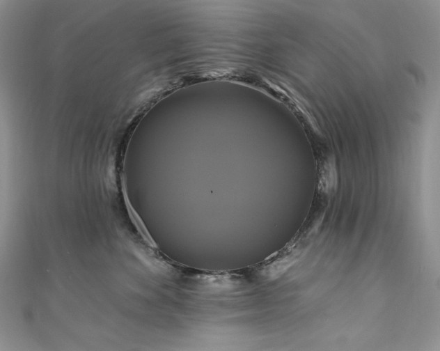 X0000111200524200907011436