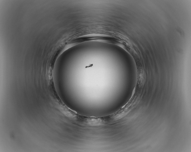 X0000111200525200907011436