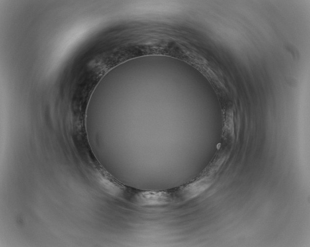 X0000111200526200907011436