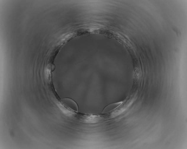 X0000111200527200907011436