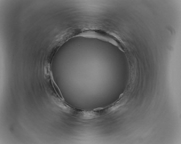 X0000111200528200907011436