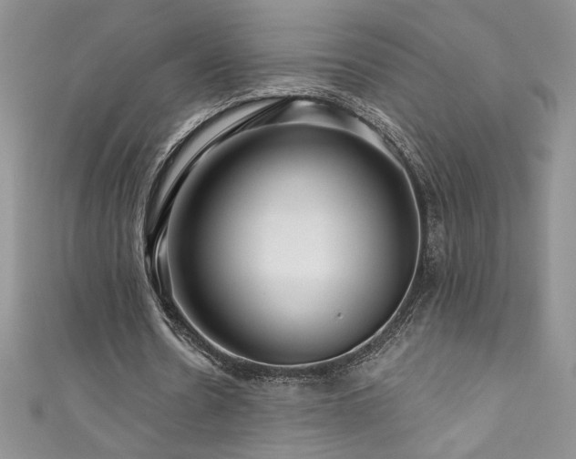 X0000111200530200907011435