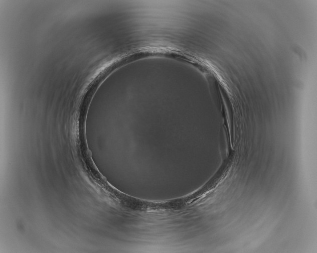 X0000111200531200907011435