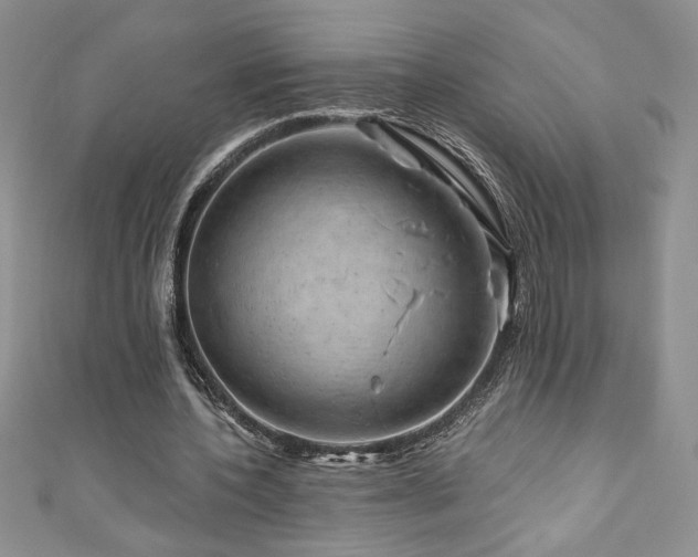 X0000111200532200907011435