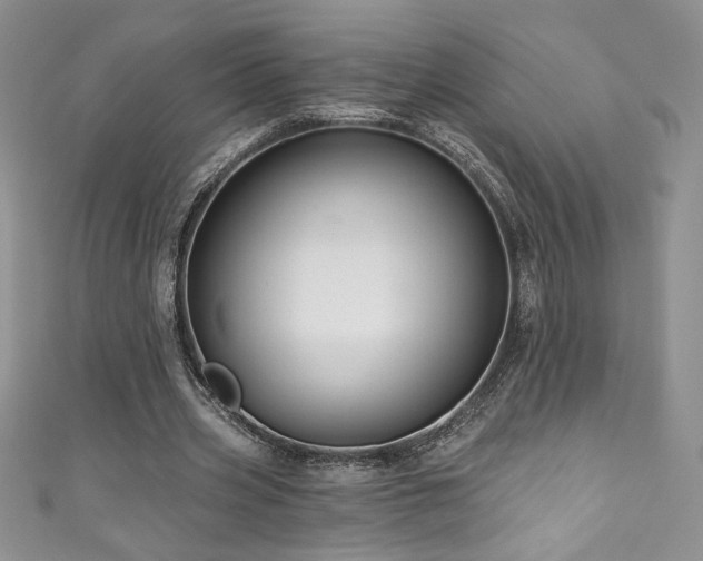 X0000111200533200907011435