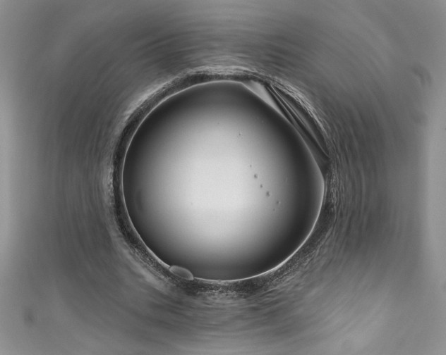 X0000111200535200907011435