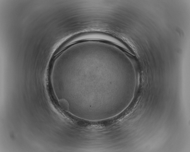 X0000111200536200907011435