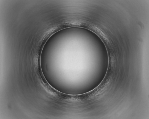 X0000111200537200907011435