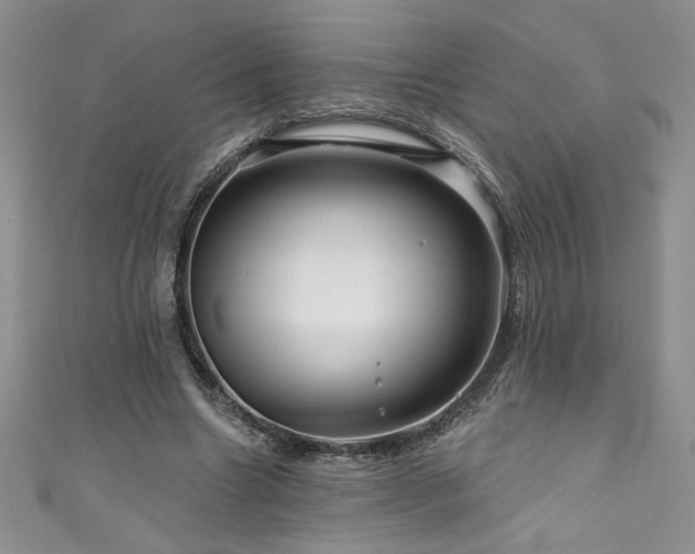 X0000111200538200907011435