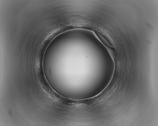 X0000111200539200907011435