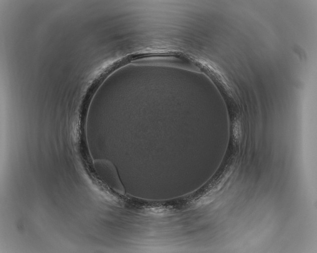 X0000111200540200907011435