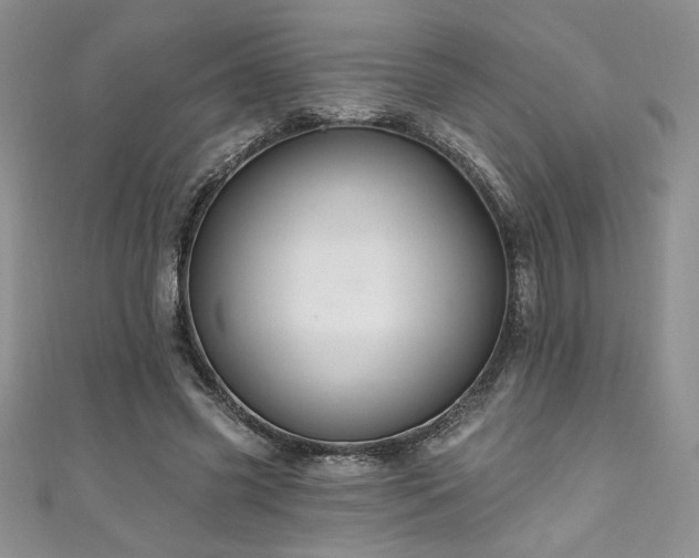 X0000111200541200907011435