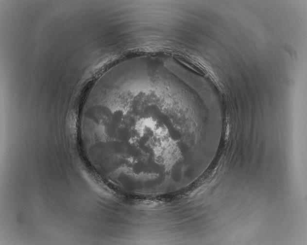 X0000111200542200907011435