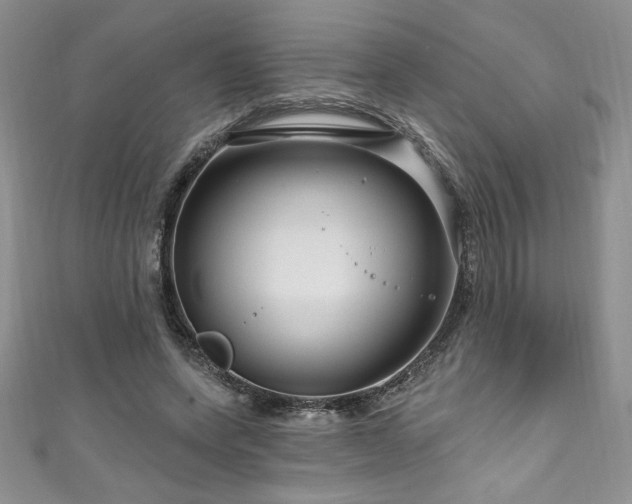 X0000111200543200907011435