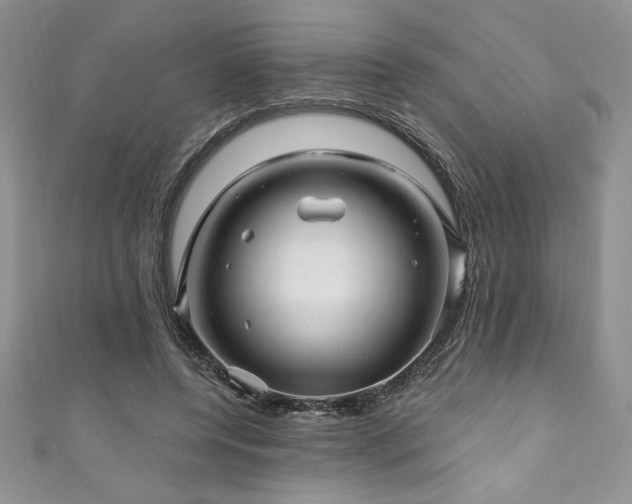 X0000111200544200907011435